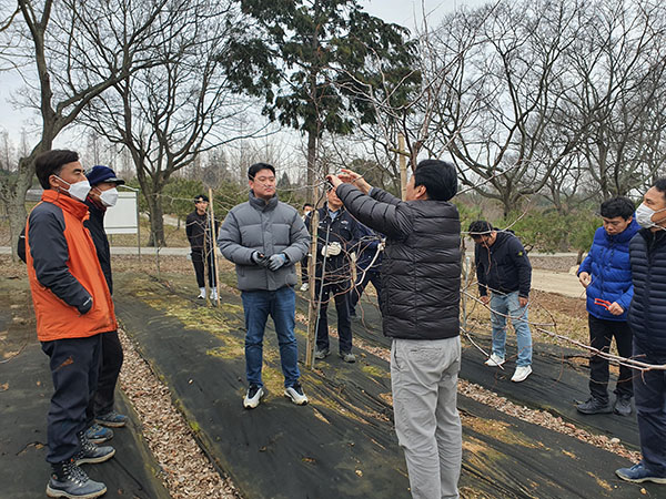 산림청 국립산림과학원은 지난 17일 전라남도산림자원연구소에서 ‘산림과수 재배관리기술 현장세미나’를 개최했다.