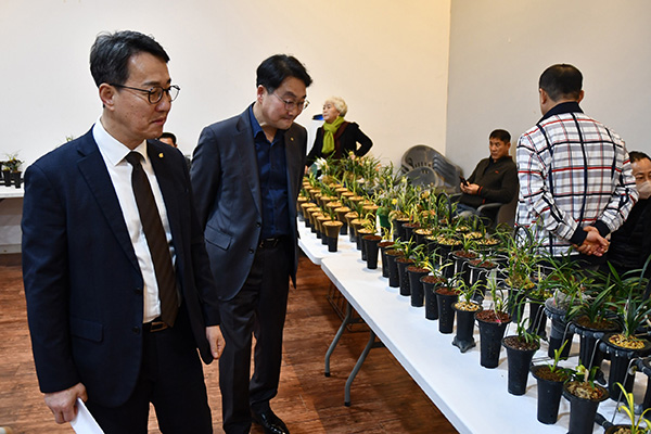 한국농수산식품유통공사 화훼사업센터는 지난 8일 자생난의 메카 전남 화순군에서 ‘한국춘란 찾아가는 지역순회 경매’를 성황리에 실시했다.