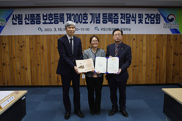 산림청 국립산림과학원은 지난 16일 산림바이오소재연구소에서 개발한 한국잔디 ‘세영’이 산림 분야 신품종 300번째로 등록돼 국립산림품종관리센터로부터 품종보호 등록증을 전달받았다.