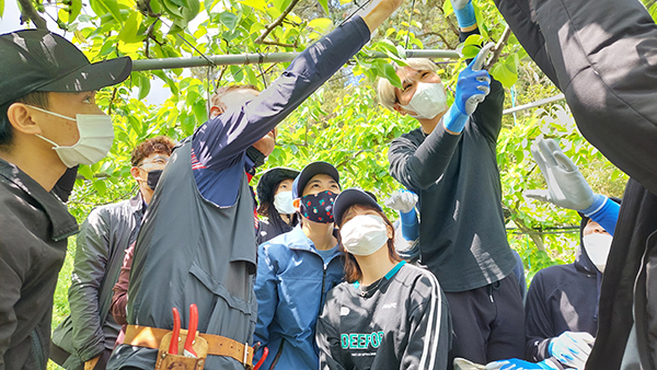 영농철을 맞아 인력난을 겪고 있는 농가에 체류형 영농작업반이 시범교육을 받고 있다.