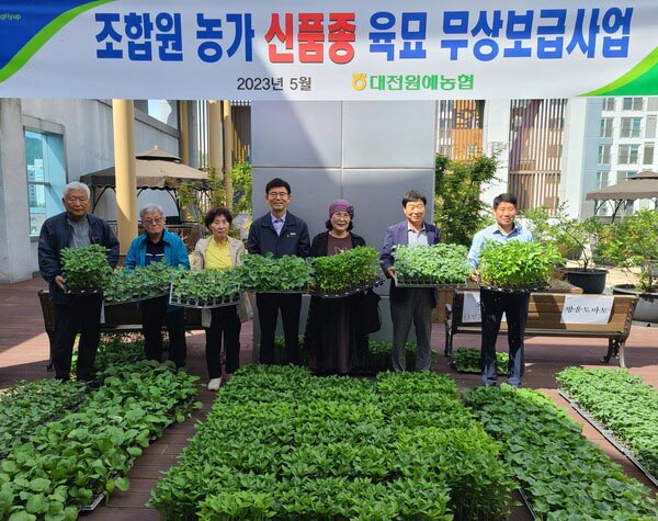 대전원협은 지난 3일 대흥동 본점을 비롯한 사업장 10여 곳에서 신품종 육묘 무상보급 사업을 실시했다.