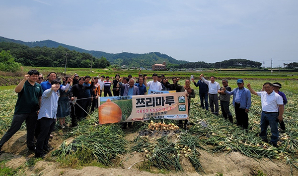 지난 7일 전북 남원시 덕과면에서 열린 ‘쯔리마루’ 양파 품평회 현장