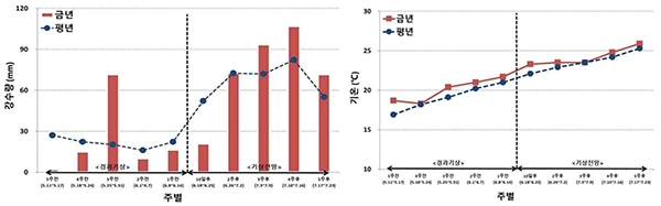 최근 경과기상과 향후 기상전망