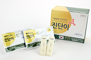 원예작물 바이러스 진단키트