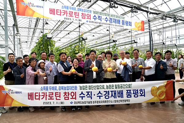 경상북도농업기술원은 농업로봇을 이용한 참외 재배기술 개발을 위한 첫 단계로 베타카로틴 참외 수직재배 기술을 개발하고, 지난 11일 성주참외과채류연구소에서 품평회를 개최했다.