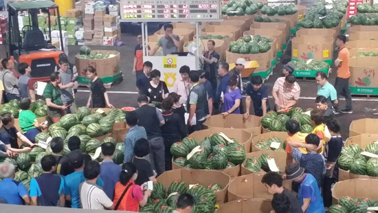 수박 경매가 진행되고 있는 모습