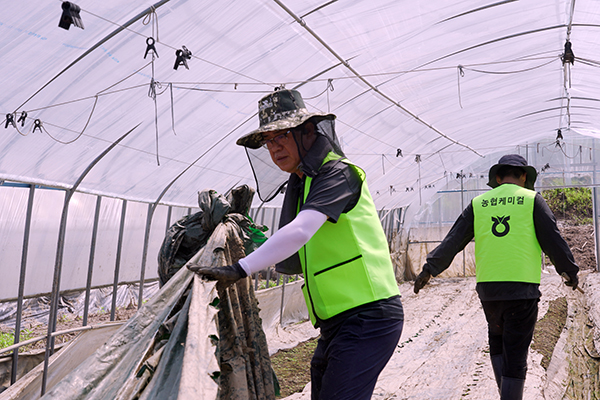 농협케미컬 임직원 30여명이 지난달 27일 충남 청양군 정산농협 관내 수해 피해 농가를 방문해 피해 복구를 위한 자원봉사에 나섰다.