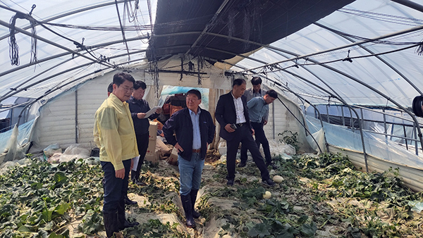 김봉학 조합장(가운데)이 집중호우로 침수 피해가 발생한 하우스 농가에 방문해 관계자들과 현장을 둘러보고 있다.