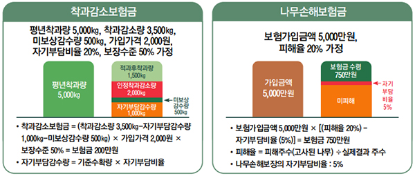 과수 보험금예시