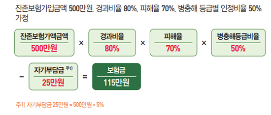 고추 보험금 예시