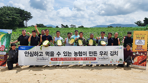 농우바이오에서 개발한 국산종자 ‘여름왕국 배추’ 품종평가회가 지난달 25일 대관령원예농협 계약 포전에서 개최됐다.