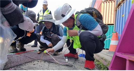 전문가 합동조사로 붉은불개미를 채집하고 있는 장면