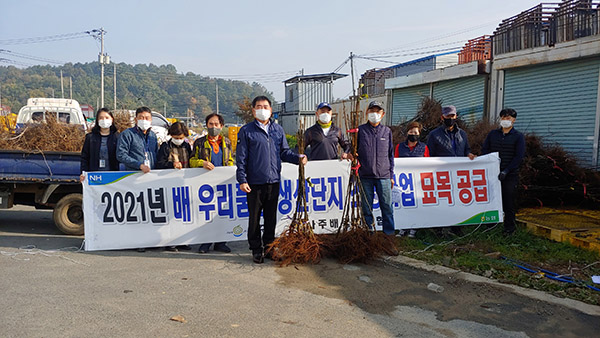 나주배원예농협은 이상기후 대비 신품종 보급사업에 심혈을 기울이고 있다.