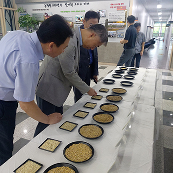 가루쌀 품위 정보를 공유하고 있는 모습