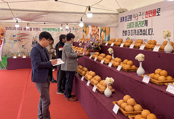 100년 명품 천찬 성환배의 품평회가 심도 있게 진행되고 있다.