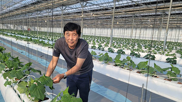 채소 오이 경북 상주 김인남 명인