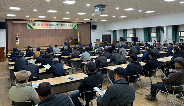 대구경북능금농협이 여름사과인 ‘골든볼’ 생산을 위해 발 벗고 나섰다.