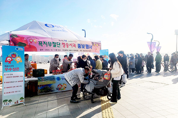 명품 청송사과의 우수성을 널리 알리기 위한 청송사과 홍보 시식행사가 부산 해운대 및 관광지에서 열려 관심을 모았다.