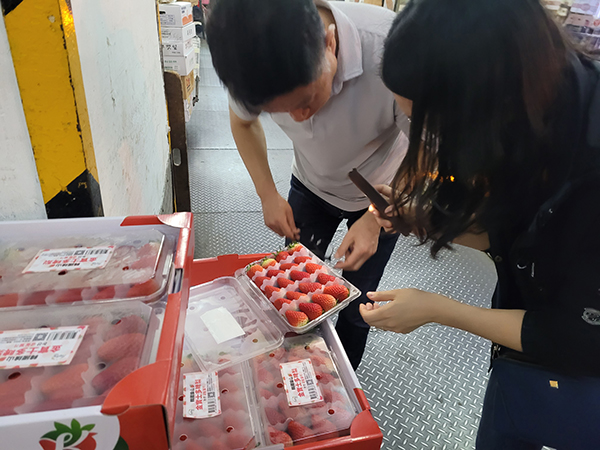 홍콩 실증(딸기 혼합 수출)