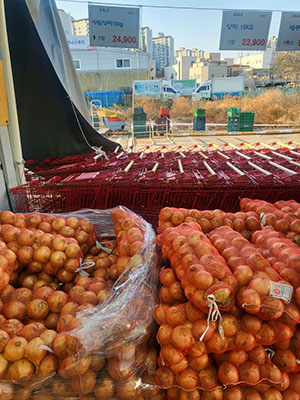 경기도 한 마트에서 판매되고 있는 수입산 양파(15kg·왼쪽)가 국내산 양파보다 1,000원 높은 가격에 거래되고 있다.