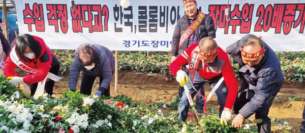 지난 11일 전국 화훼농가 대표 80여명은 경남 김해시 대동면 초정리 한 농가에서 SECA 체결에 항의하며 화훼 폐기 시위를 벌였다.