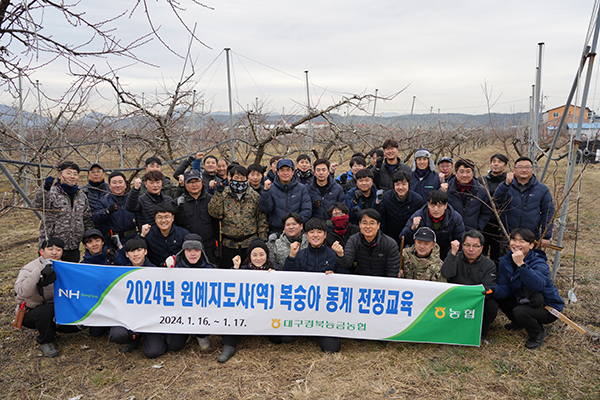 대구경북능금농협은 경북 영천에서 지난 16일부터 17일까지 2일간 복숭아의 품질을 결정하는 동계전정 교육을 원예지도사(역)를 대상으로 실시했다.