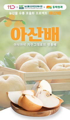 동화청과와 11번가 손잡고 온라인도매시장으로 거래되는 아산배 포스터.