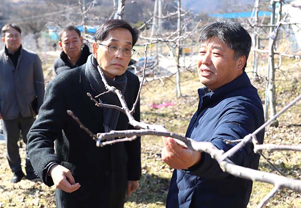 한훈 차관(왼쪽)이 사과 농원을 방문하고 과수나무를 점검하고 있다.