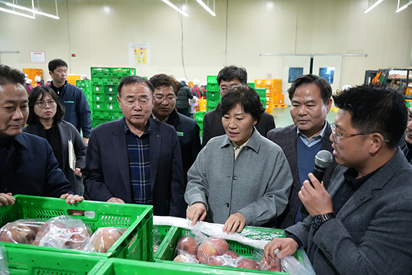 송미령 농식품부 장관(오른쪽 세번째)은 지난 14일 경북 영주시 산지유통센터를 방문해 생육관리 상황과 수급동향을 점검하고 있다.