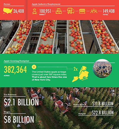 미국 사과협회(US Apple Association)에서 홍보하고 있는 미국 사과산업 현황 자료.