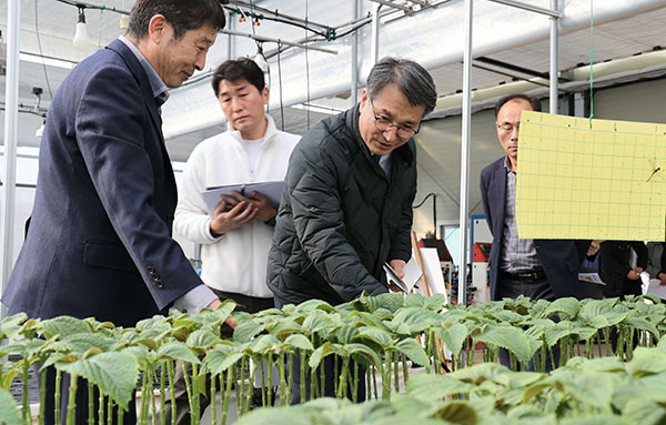 서효원 농촌진흥청 차장이 시범농가 농원을 살피고 있다.