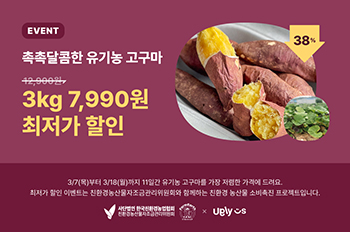 유기농 고구마 판매 포스터.