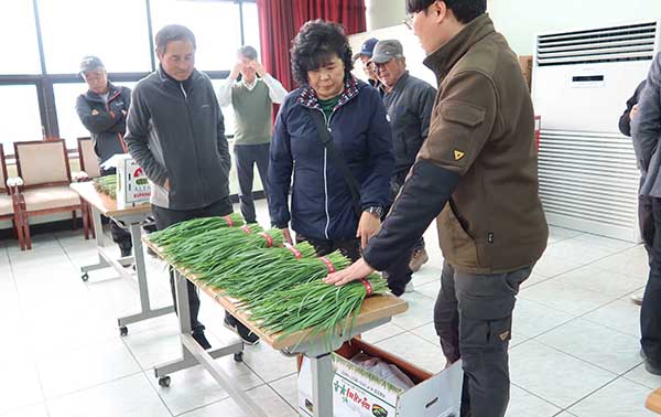 동화청과 경매사(좌)가 서춘천농협 조합원을 상대로 제값 받기 교육을 실시하고 있다.