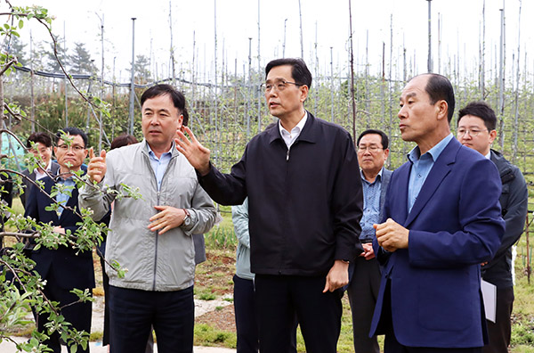 한훈 농식품부 차관(가운데)이 지난 16일 충남 서산 사과 스마트 과수원을 찾아 생육상황을 점검했다.