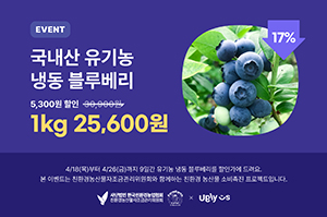 어글리어스에서 판매되고 있는 유기농 블루베리 홍보 포스터.