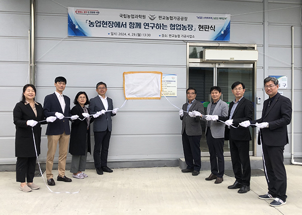 국립농업과학원은 지난달 29일 판교농협 가공공장을 시작으로 30일 익산 굼벵이농장, 5월 3일에는 천안 로컬푸드 생산자 협동조합에서 현판식을 가졌다.