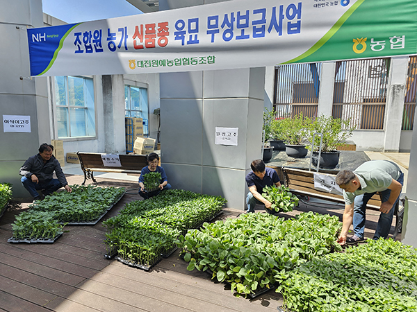신품종 육묘 무상보급사업이 진행되고 있다.