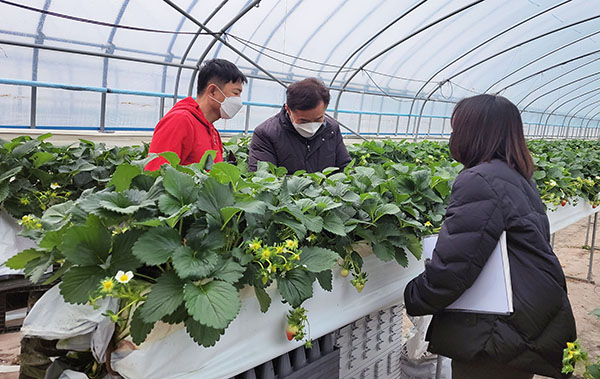 ‘스마트팜 시범농가 사전컨설팅’ 모습.