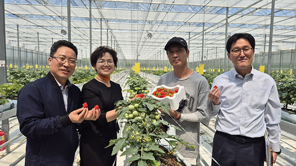 농신보 조은주 상무(왼쪽에서 2번째)가 지난 21일 충북 괴산군 소재 스마트팜 딸기농가에서 수확한 딸기와 함께 기념촬영을 하고 있다.