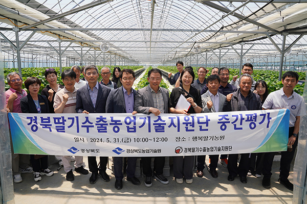 경상북도농업기술원은 지난달 31일 경주시 수출 농가와 성주군 농산물 유통업체에서 경북 딸기, 참외 수출 확대를 위한 수출농업기술지원단 중간평가회를 가졌다. 