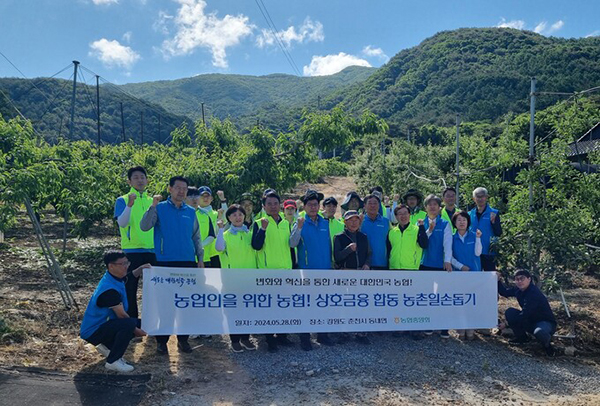 지난달 강원도 춘천시 소재 농가에서 김순배 춘천원예농협조합장(앞줄 오른쪽 네 번째), 박정균 상호금융자산운용본부장(앞줄 오른쪽 세 번째) 등 임직원 20여명이 농촌일손돕기를 실시하면서 기념촬영을 하고 있다.