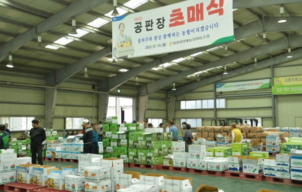 대관령원예농협 공판장 초매식