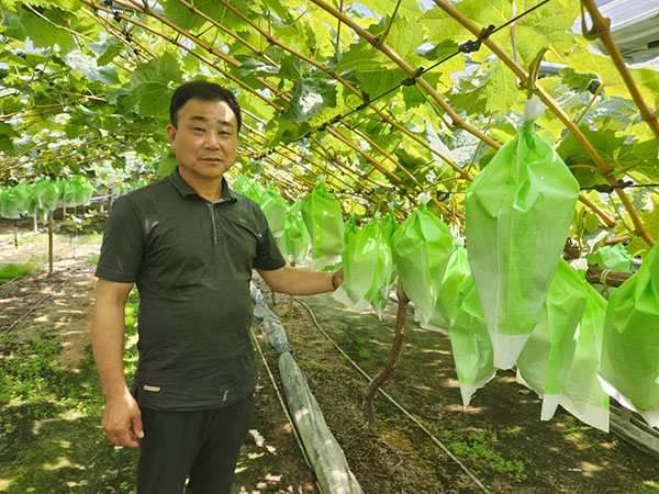 신동근 대의원이 농원을 살피고 있다.
