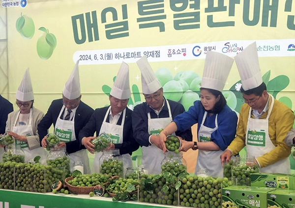 상생마케팅 후원금 전달식 참석자들이 하나로마트 양재점에서 매실청 담그기 시연회를 진행하고 있다. (왼쪽부터 이화엽 광양시농업기술센터 소장, 이성한 홈앤쇼핑 본부장, 정정수 영농자재본부장, 염기동 농협유통 대표이사, 김소형 한의사, 허순구 광양농협 조합장)