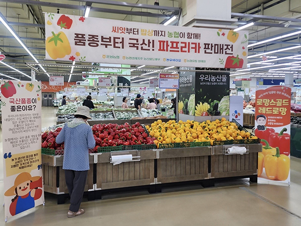 농협경제지주가 지난 16일까지 하나로마트 양재점 등 수도권 일부 매장에서 국산 종자로 재배한 파프리카 기획전을 실시한다.