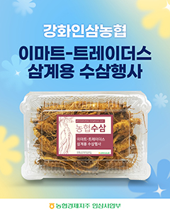 농협경제지주가 이달 1일부터 7일까지 이마트, 이마트 트레이더스와 협력하여 삼계용 수삼 판매를 진행한다.