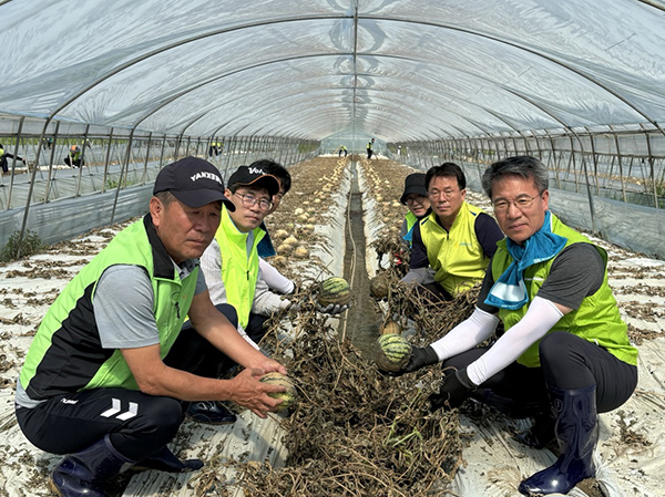 박서홍 농협경제지주 농업경제대표이사(맨 오른쪽)와 이창종 강경농협 조합장(맨 왼쪽)이 지난 15일 충남 논산시 수해 농가를 찾아 복구 작업을 펼쳤다.