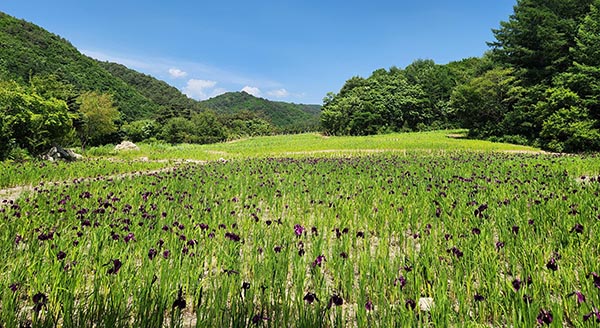 국립자생식물원 전경 모습.