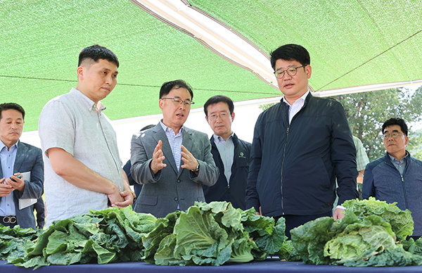 여름배추 준고랭지 신작형 생산기술 연구현장 점검 모습.