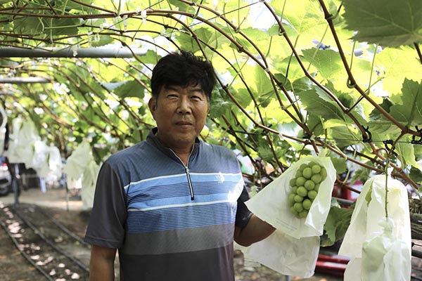 차영돈 조합원이 샤인머스켓을 들어 보이고 있다.